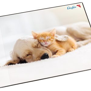 Läufer Schreibunterlage Hund und Katze 40 x 53 cm, 1 Stück