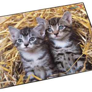 Läufer Schreibunterlage Katzen im Stroh 40 x 53 cm, 1 Stück