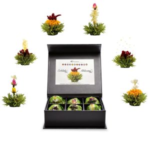 Creano Erblühtee grüner Tee fruity flavor 6er Magnetbox