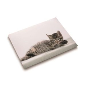 Läufer Schreibunterlage Katze 40 x 53 cm, 1 Stück