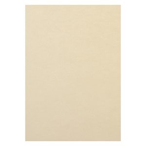Rainbow Kopierpapier Rainbow 120 g/m² A4, Hellchamois