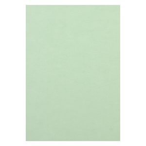 Rainbow Kopierpapier Rainbow 120 g/m² A4, Hellgrün