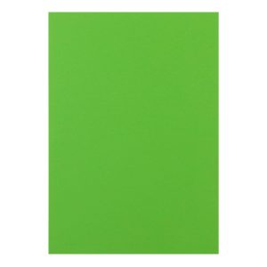 Rainbow Kopierpapier Rainbow 160 g/m² A4, Grün