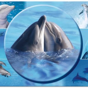HERMA Schreibunterlage Delphin 55 x 35 cm