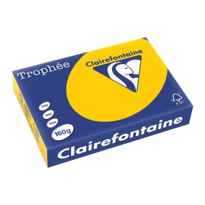 Clairefontaine Kopierpapier Trophée Colored Copy FSC A4, Gelb, 160 g/m²
