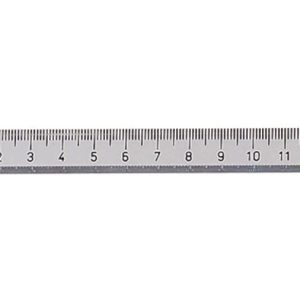 ingold-biwa Lineal 30 cm