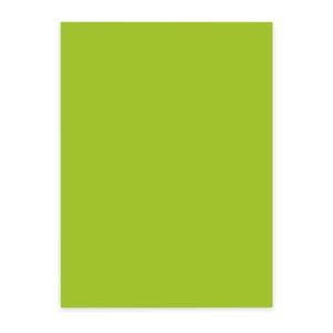 ELCO Kopierpapier Color A4, Grün, 80 g/m², 100 Blatt