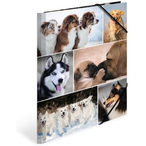 HERMA Gummibandmappe A4 Hunde, Karton, mit Innendruck