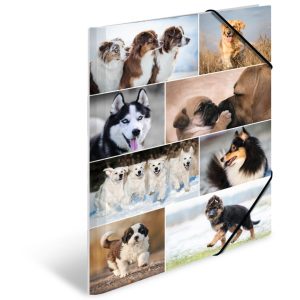 HERMA Gummibandmappe A3 Hunde, Karton, mit Innendruck