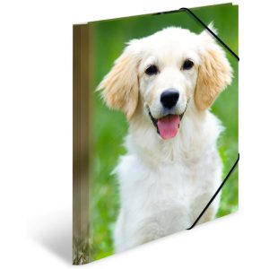 HERMA Gummibandmappe A4 Hunde, Polypropylen, mit Innendruck