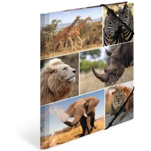 HERMA Gummibandmappe A4 Afrika, Karton, mit Innendruck
