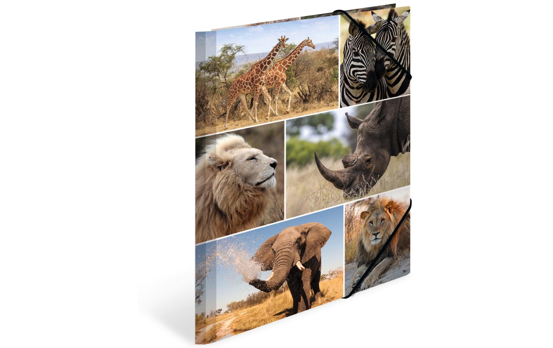 HERMA Gummibandmappe A4 Afrika, Karton, mit Innendruck