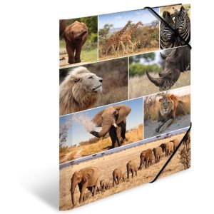 HERMA Gummibandmappe A3 Afrika, Karton, mit Innendruck