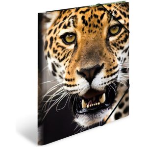 HERMA Gummibandmappe A4 Leopard, Polypropylen, mit Innendruck