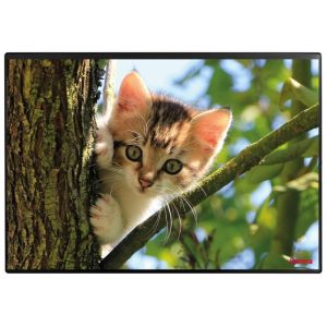 Kolma Schreibunterlage Undercover Poster Katze, 50 x 34 cm