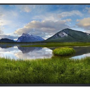 Dell Monitor P2425HE WOST ohne Standfuss