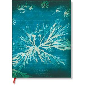 Paperblanks Notizbuch Meeresblumen 17.5 x 12.2 cm, Blanko