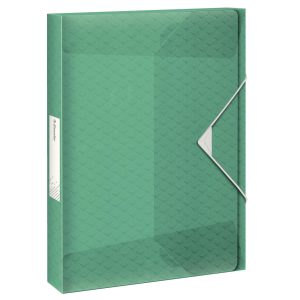 Esselte Gummibandmappe COLOUR‘ICE 40 mm Grün