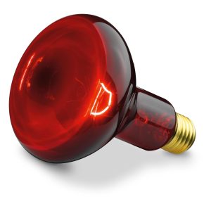 Beurer Infrarotlampe IL 11 Ersatzstrahler