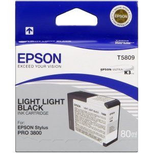 Epson Tinte C13T580900 Light Light Black