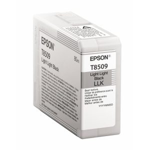 Epson Tinte C13T850900