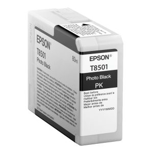Epson Tinte C13T850100 Photo Black