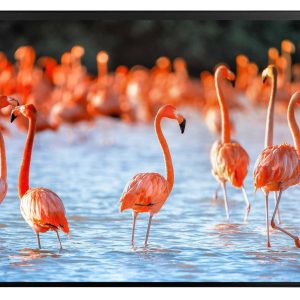 Kolma Schreibunterlage Undercover Poster Flamingo, 50 x 34 cm