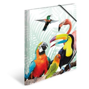 HERMA Gummibandmappe Papagei A4, Mehrfarbig