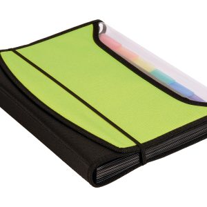 dufco Fächermappe A4 Soft Touch 13 Fächer, Hellgrün