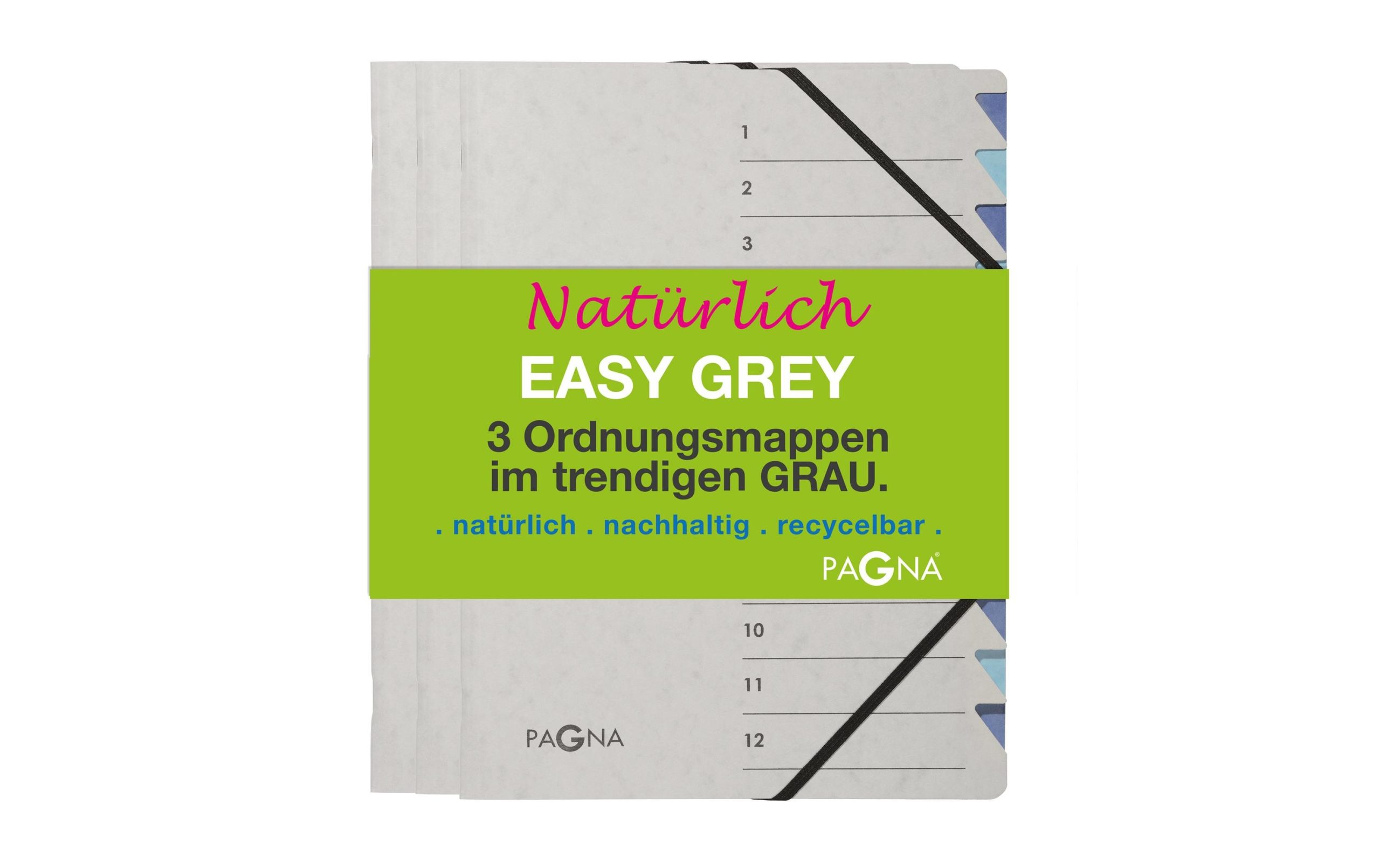 Pagna Ordnungsmappe Easy mit 12 Fächern Grau, 3 Stück 3 Pagna Ordnungsmappe Easy mit 12 Fächern Grau, 3 Stück