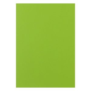 Rainbow Kopierpapier Rainbow 160 g/m² A4, Leuchtend Grün