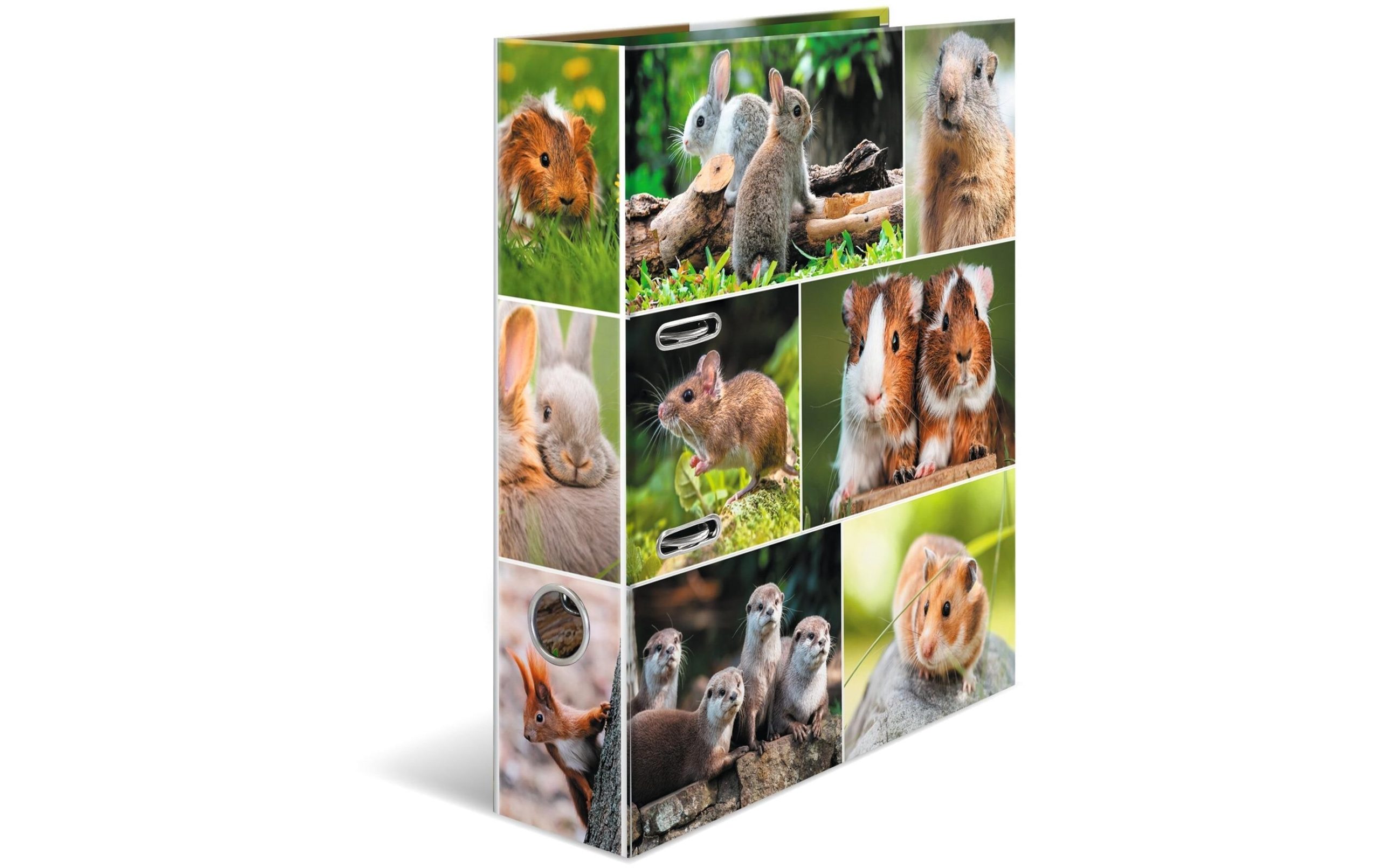 HERMA Ordner Nagetiere 7 cm, Mehrfarbig 2 218648974 xxl3 scaled