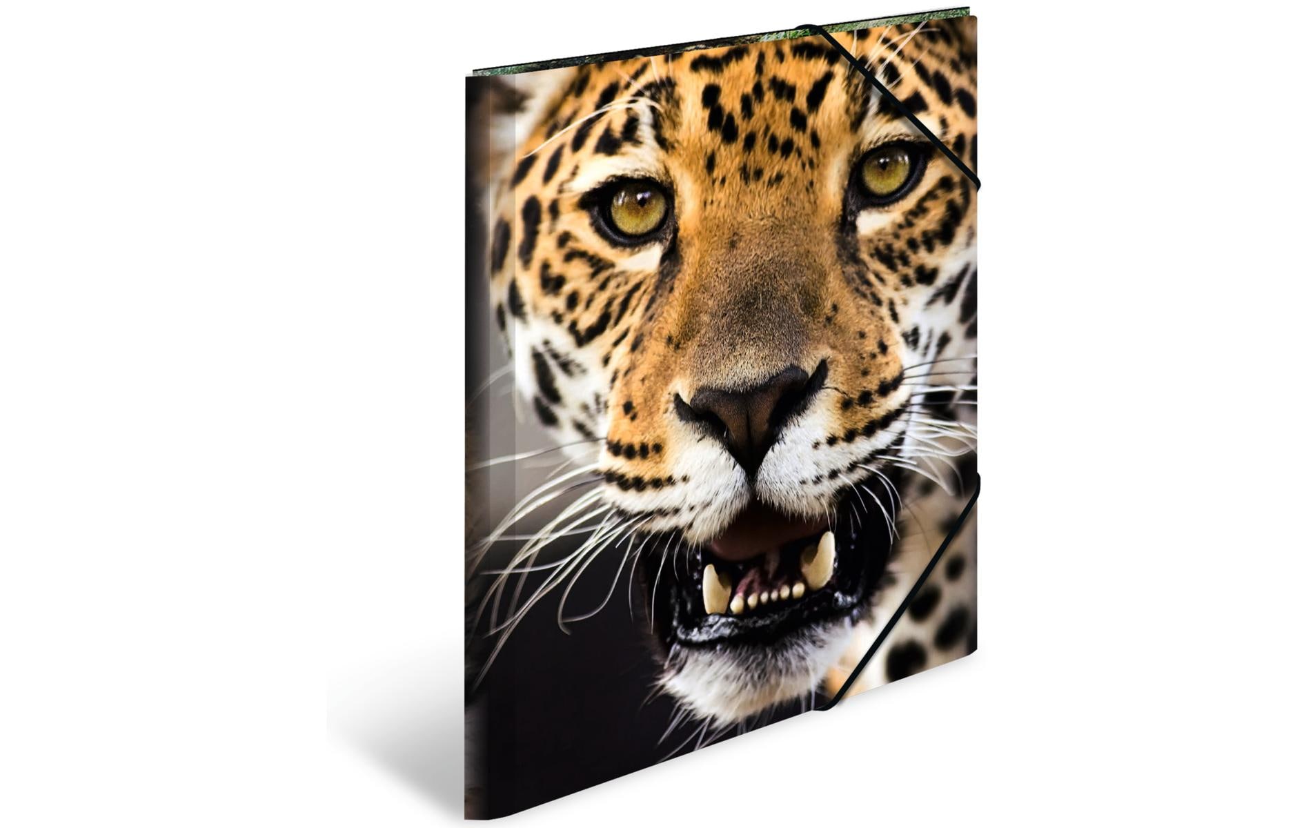 HERMA Gummibandmappe A3 Leopard, Polypropylen, mit Innendruck 1