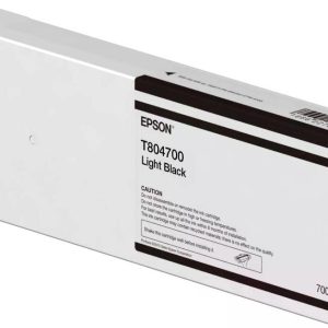 Epson Tinte T804100 Photo Black