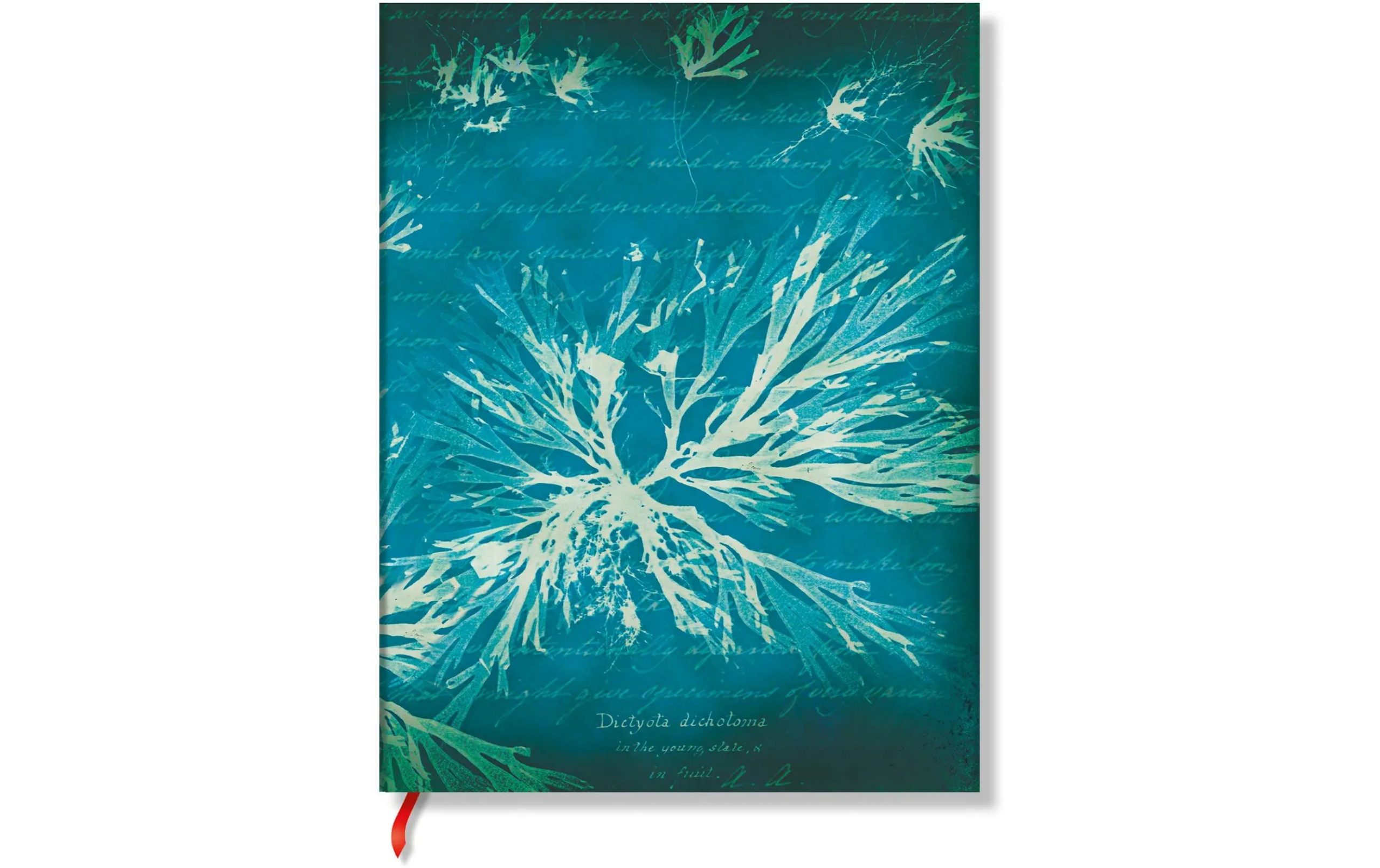 Paperblanks Notizbuch Meeresblumen 17.5 x 22.5 cm, Liniert 2 399407833 xxl3 scaled
