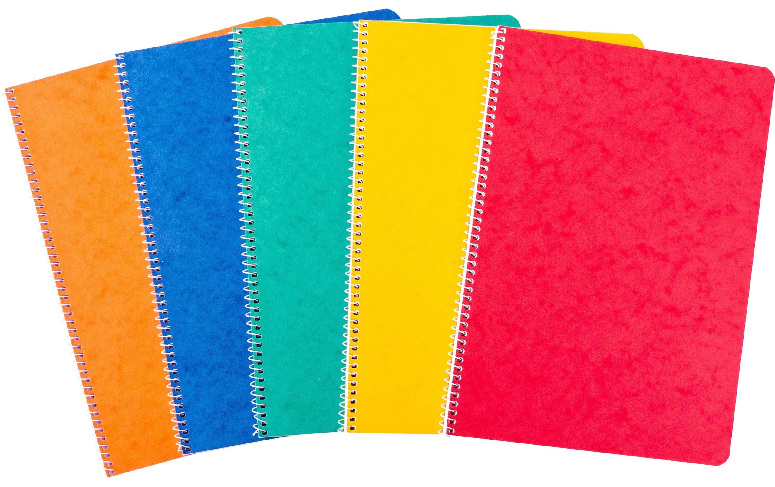 novooo. Notizbuch A4, 4 mm kariert 80g assortiert 1 400489542 xxl3 scaled