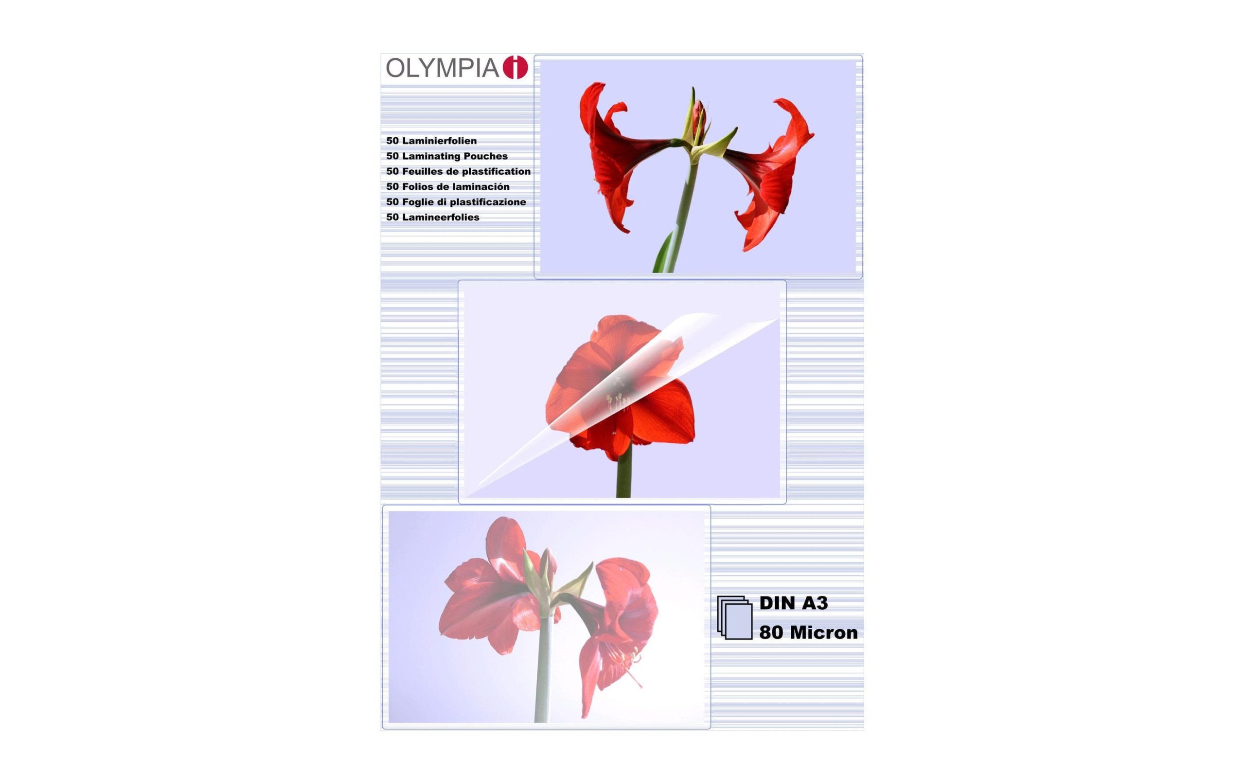 Olympia Laminierfolie A3, 80 µm, 50 Stück, Glänzend 2 57629628 xxl3 scaled