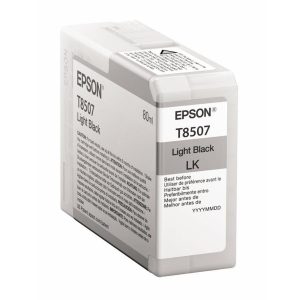 Epson Tinte C13T850700 Light Black