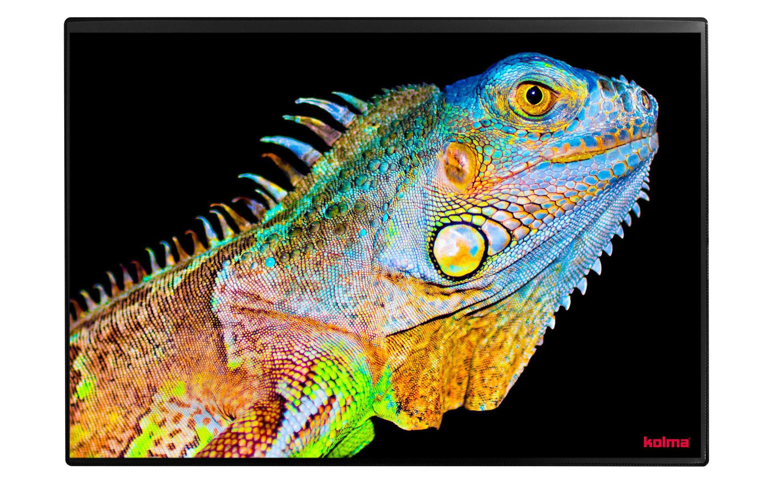 Kolma Schreibunterlage Undercover Poster Exotic 50 x 34 cm 1 58803827 xxl3 scaled