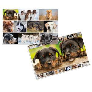 HERMA Schreibunterlage Hunde 55 x 35 cm